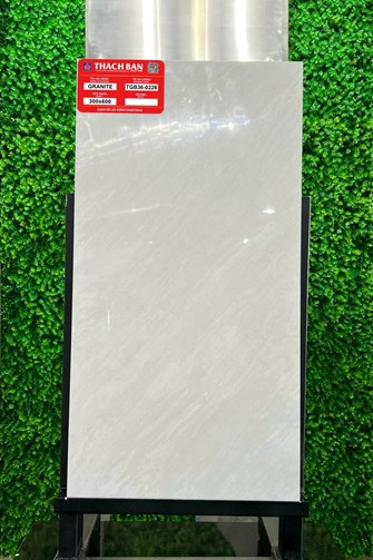 Gạch Thạch Bàn 30x60cm Granit bóng TGB36-0226