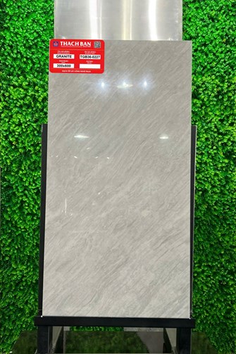 Gạch Thạch Bàn 30x60cm Granit bóng TGB36-0227