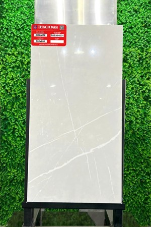 Gạch Thạch Bàn 30x60cm Granit bóng TGB36-0231
