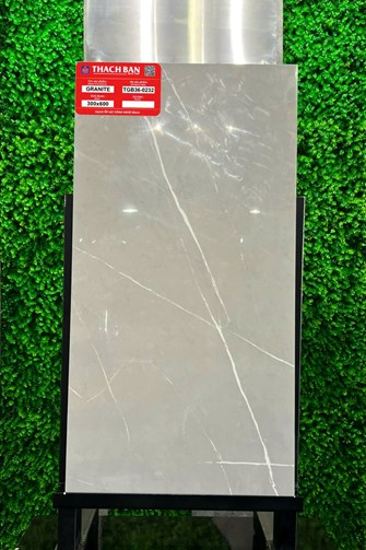 Gạch Thạch Bàn 30x60cm Granit bóng TGB36-0232
