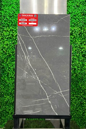 Gạch Thạch Bàn 30x60cm Granit bóng TGB36-0233