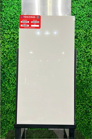 Gạch Thạch Bàn 30x60cm Granit bóng TGB36-0234