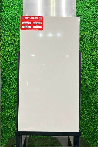 Gạch Thạch Bàn 30x60cm Granit bóng TGB36-0234