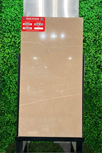 Gạch Thạch Bàn 30x60cm Granit bóng TGB36-0235
