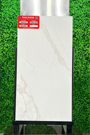 Gạch Thạch Bàn 30x60cm Granit PGM36-0225