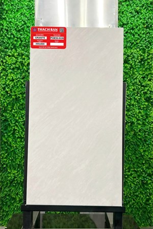 Gạch Thạch Bàn 30x60cm Granit PGM36-0226