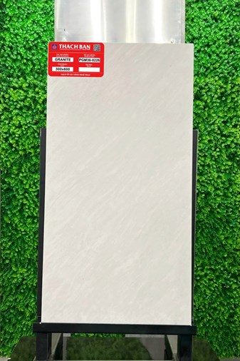 Gạch Thạch Bàn 30x60cm Granit PGM36-0226