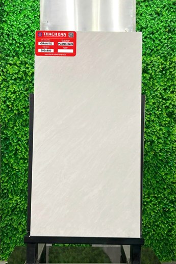 Gạch Thạch Bàn 30x60cm Granit PGM36-0226