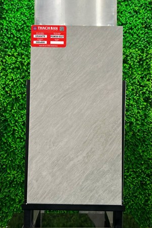 Gạch Thạch Bàn 30x60cm Granit PGM36-0227