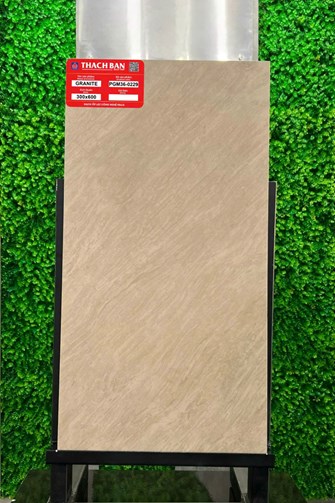 Gạch Thạch Bàn 30x60cm Granit PGM36-0229