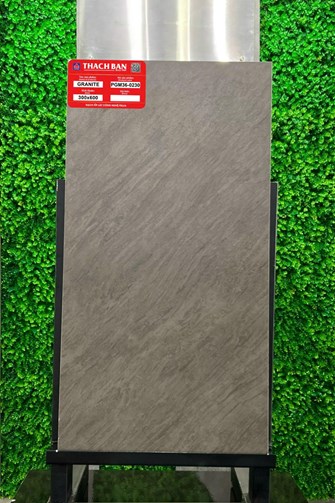 Gạch Thạch Bàn 30x60cm Granit PGM36-0230
