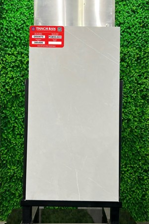 Gạch Thạch Bàn 30x60cm Granit PGM36-0231