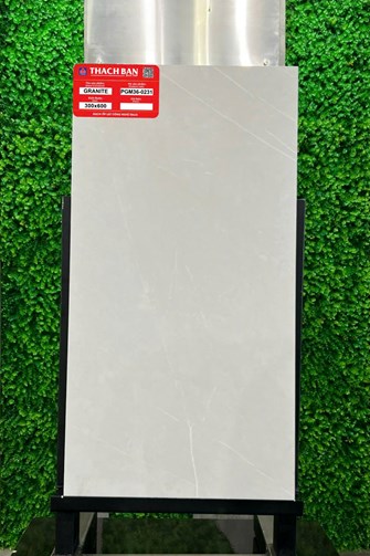 Gạch Thạch Bàn 30x60cm Granit PGM36-0231