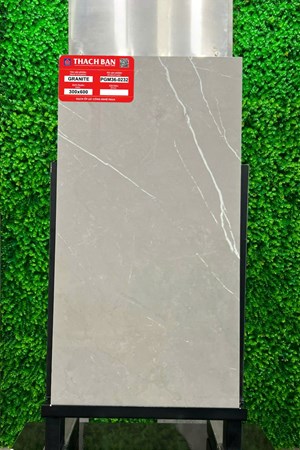 Gạch Thạch Bàn 30x60cm Granit PGM36-0232