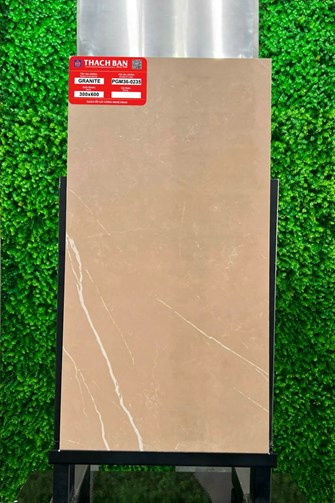 Gạch Thạch Bàn 30x60cm Granit PGM36-0235