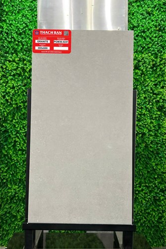 Gạch Thạch Bàn 30x60cm Granit PGM36-0241