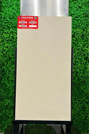 Gạch Thạch Bàn 30x60cm Granit PGM36-0243