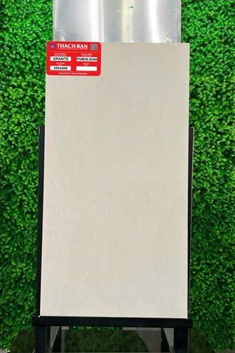 Gạch Thạch Bàn 30x60cm Granit PGM36-0244