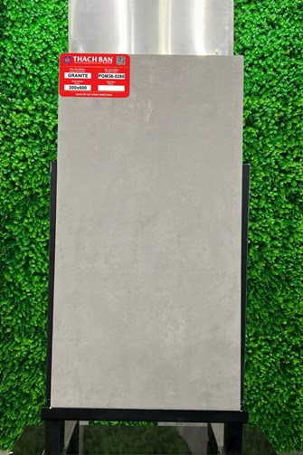 Gạch Thạch Bàn 30x60cm Granit PGM36-0260
