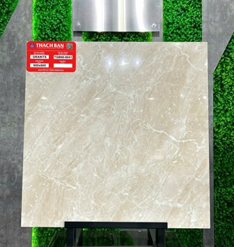 Gạch Thạch Bàn 60x60cm Granit bóng TGB60-0041