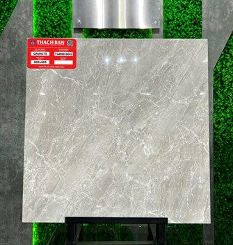 Gạch Thạch Bàn 60x60cm Granit bóng TGB60-0042