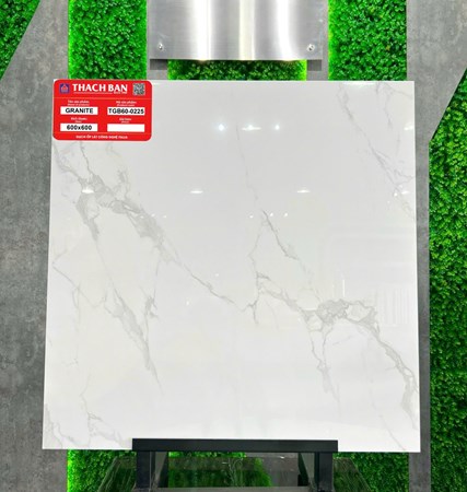 Gạch Thạch Bàn 60x60cm Granit bóng TGB60-0225