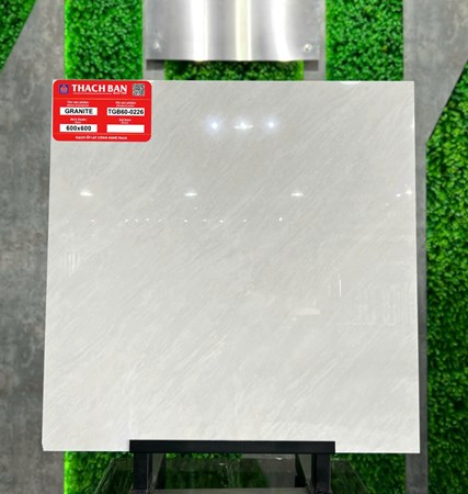 Gạch Thạch Bàn 60x60cm Granit bóng TGB60-0226