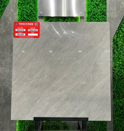 Gạch Thạch Bàn 60x60cm Granit bóng TGB60-0227