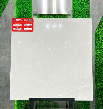 Gạch Thạch Bàn 60x60cm Granit bóng TGB60-0231