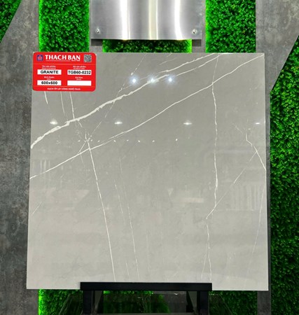 Gạch Thạch Bàn 60x60cm Granit bóng TGB60-0232
