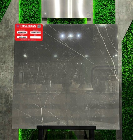 Gạch Thạch Bàn 60x60cm Granit bóng TGB60-0233