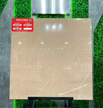 Gạch Thạch Bàn 60x60cm Granit bóng TGB60-0235