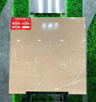 Gạch Thạch Bàn 60x60cm Granit bóng TGB60-0235