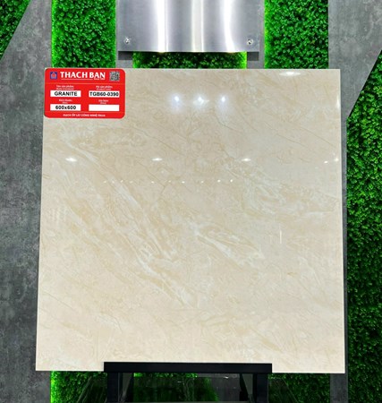 Gạch Thạch Bàn 60x60cm Granit bóng TGB60-0390