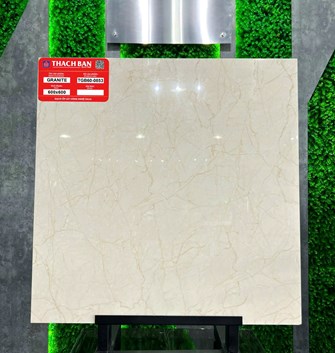 Gạch Thạch Bàn 60x60cm Granit bóng TGB60-0853
