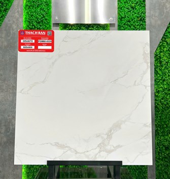 Gạch Thạch Bàn 60x60cm PGM60-0225