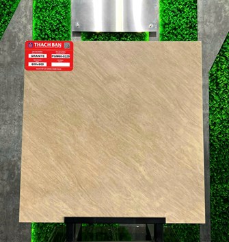 Gạch Thạch Bàn 60x60cm PGM60-0229