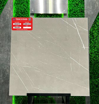 Gạch Thạch Bàn 60x60cm PGM60-0232