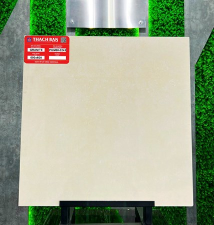 Gạch Thạch Bàn 60x60cm PGM60-0243