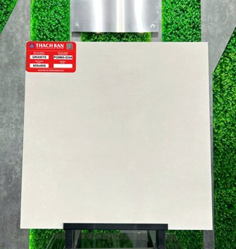 Gạch Thạch Bàn 60x60cm PGM60-0244