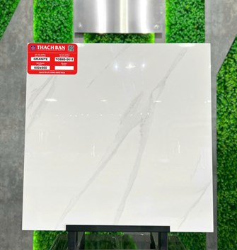 Gạch Thạch Bàn 60x60cm TGB60-0011