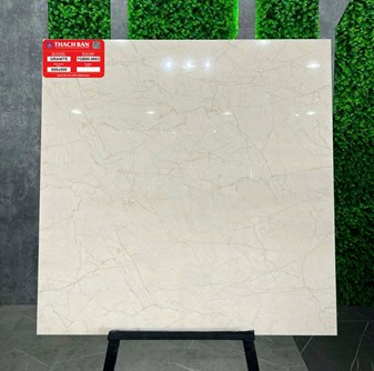 Gạch Thạch Bàn 80x80cm TGB80-0853