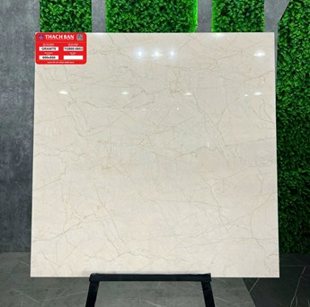 Gạch Thạch Bàn 80x80cm TGB80-0853