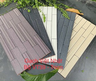 Gạch Trang trí Việt Nhật 25x50cm Bộ VT-39-Trion