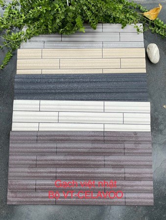 Gạch Trang trí Việt Nhật 25x50cm Bộ VT-CELAVOO