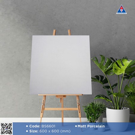 Gạch Viglacera 60x60cm mờ BS6601