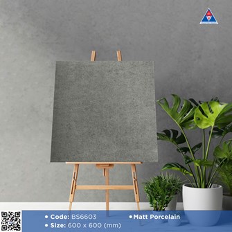 Gạch Viglacera 60x60cm mờ BS6603