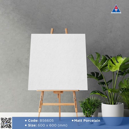 Gạch Viglacera 60x60cm mờ BS6605