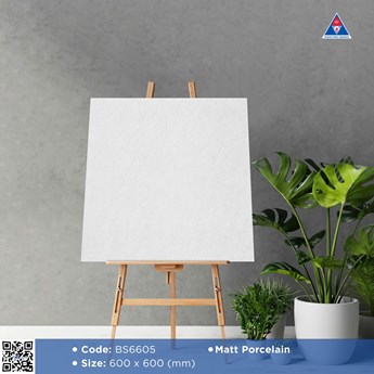 Gạch Viglacera 60x60cm mờ BS6605
