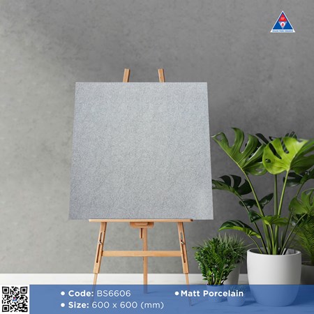 Gạch Viglacera 60x60cm mờ BS6606